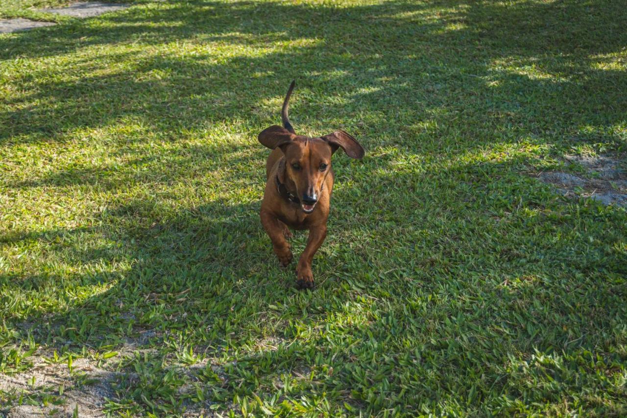 Casa Vista Para Montanha Pet Friendly Caraguatatuba Esterno foto